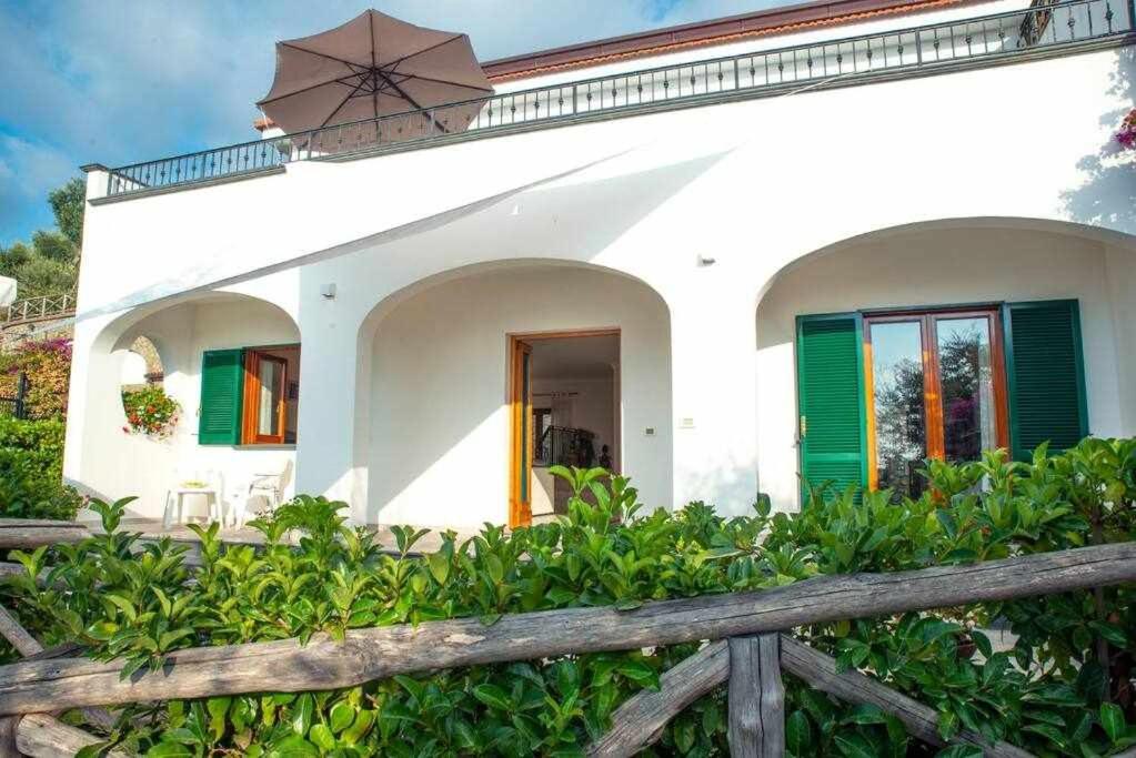 Villa Il Sogno Di Zia Ada Масса-Лубренсе Экстерьер фото